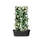 green basics jardiniere treillis 80cm living noir